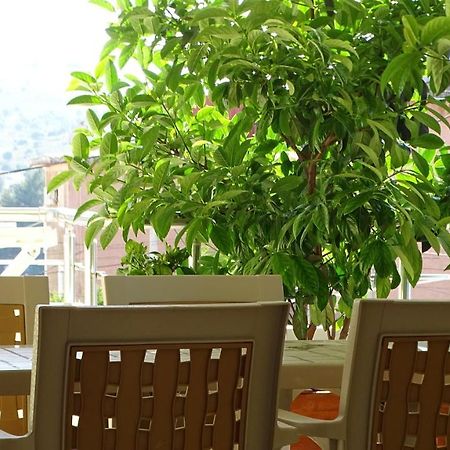 Cozy Central Apartment كساميل المظهر الخارجي الصورة