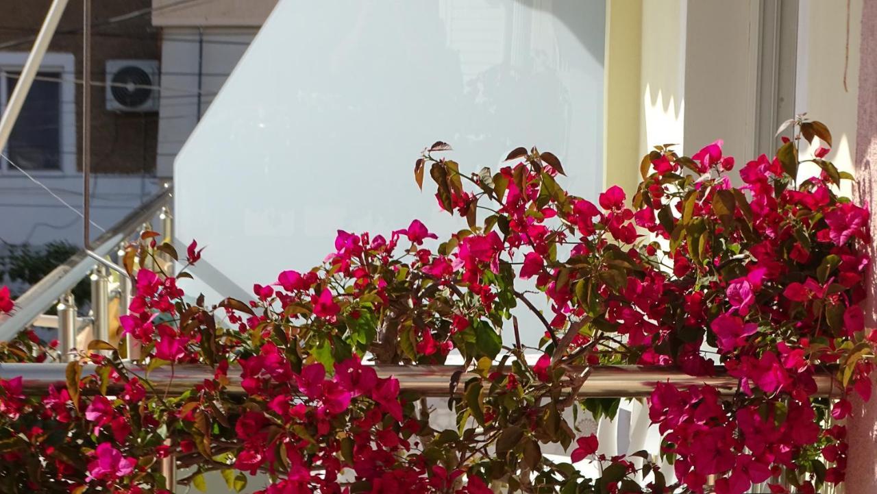 Cozy Central Apartment كساميل المظهر الخارجي الصورة